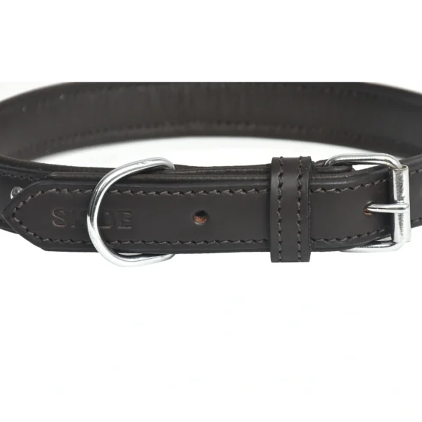 Dark brown leather dog collar - A2 - Image 4