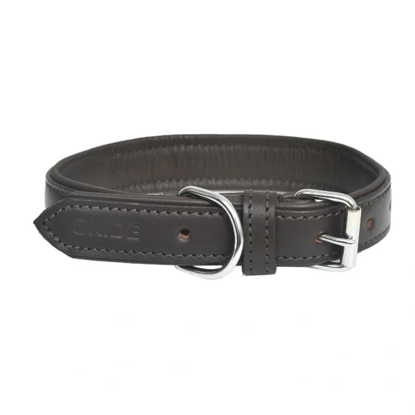 Dark brown leather dog collar - A3