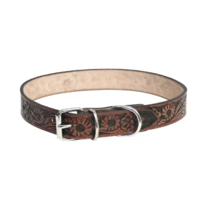 Black leather dog collar with silver studs.