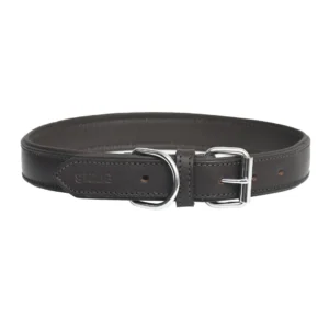 Dark brown leather dog collar - A6